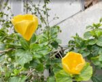 ビジネスに付きもののミスやモレの間違えない対処方法