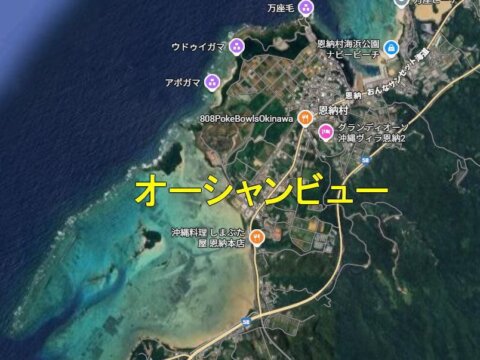 1階からもオーシャンビュー～売土地（恩納村・約1,000坪）