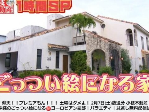 圧倒的に反響の大きい沖縄の不動産の広告チャネル